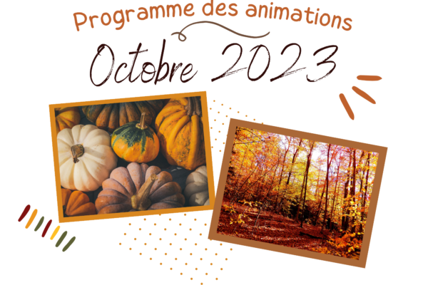 Image de l'actualité
